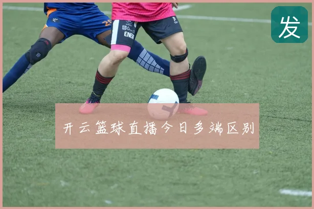 开云篮球直播今日多端区别